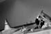 vucci_wedding_dcmag023b