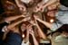 vucci_wedding_dcmag029